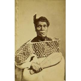 Moses - Auckland Native