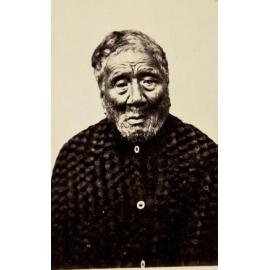 Taringa Kuri (Te Kaeaea)