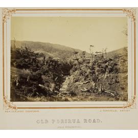 Old Porirua Road (near Wellington)