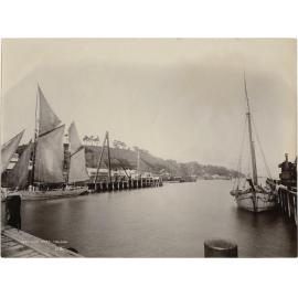 The Port, Nelson