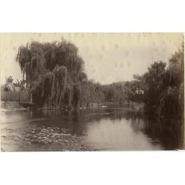 River Scene