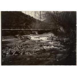Brook Street Stream, Nelson
