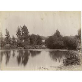 On The Maitai, Nelson