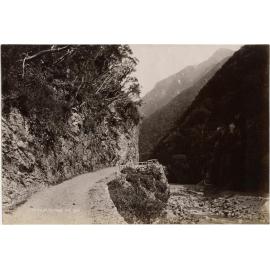 In Otira Gorge, N.Z.