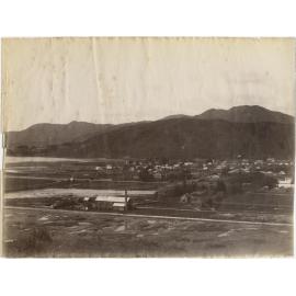 Nelson