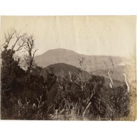 Otago Peninsula