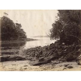 Golden Bay, Paterson Inlet, Stewart Island