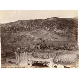 Mr. Hazard's House, Wairoa