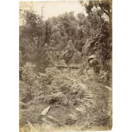 Tararu Creek, Thames