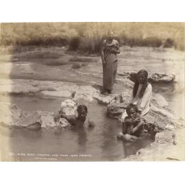 In the Puias, Tokaanu, Lake Taupo, King Country