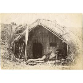 A Māori Whare
