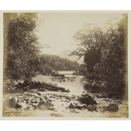 Passage Point Cove, Dusky Sound