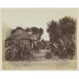 Cabbage tree grove, Half Way Bay, Lake Wakatipu