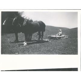 Horse drawn sled with child                Canterbury "Greenhill" owned the <unclear> Hugh Mortimer Knubles