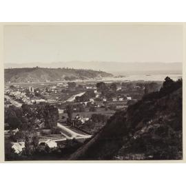 Nelson