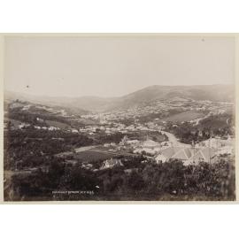 North East Valley, Dunedin