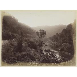 Manawatu Gorge