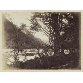 On the Routeburn, Martin's Bay Track