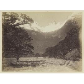 On the Routeburn, Martin's Bay Track