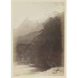 On the Routeburn, Martin's Bay Track