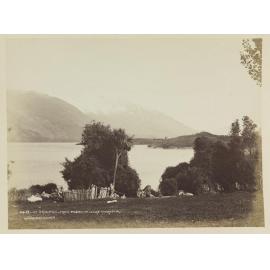 Mount Crichton, from Pigeon Island,Lake Wakatipu
