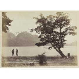 From 25 Mile Point, Lake Wakatipu