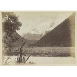 On the Routeburn, Martin's Bay Track