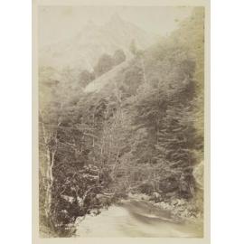 Moonlight Gorge