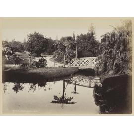 Botanical Gardens, Sydney N.S.W.