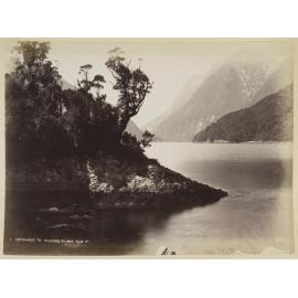 Entrance to Milford Sound from Fox Point