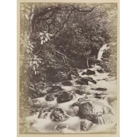 Bryant Creek, Lake Wakatipu