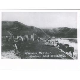 Waitangi, mail time