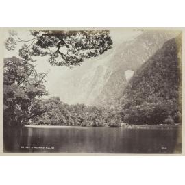 Arthur River, Milford Sound N.Z.