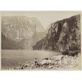 Near entrance to Milford Sound N.Z.