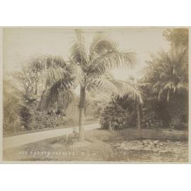 Sydney Gardens N.S.W.