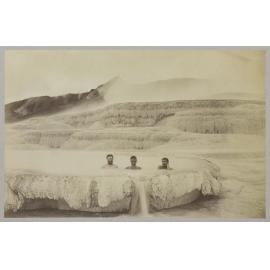 Bathing at the White Terrace