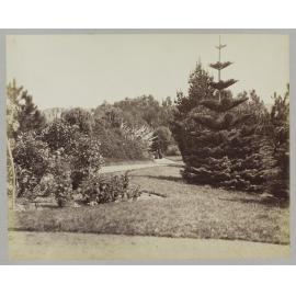 Garden of W.H. Hogg, Mayor of Wanganui