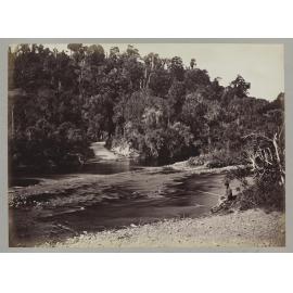 Makaka River, Seventy Mile Bush