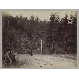 Middle of Bushy Bend, Remutaka Hill