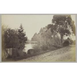 Bridge in domain, Christchurch