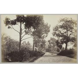 View in public domain, Christchurch