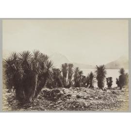 View from Cabbage Tree Bay, Lake Hawea