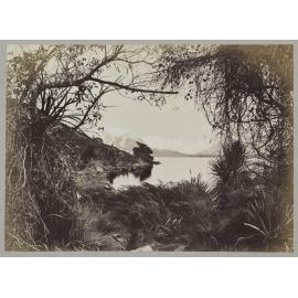 A peep through the trees, Lake Hawea