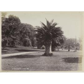 Botanical Gardens, Sydney
