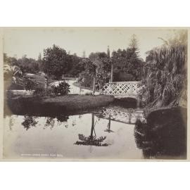 Botanical Gardens, Sydney N.S.W.