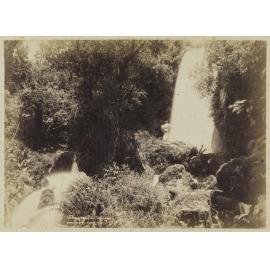 4 ft. Fall At Wairoa