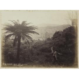 Ongaruhe Valley, King Country