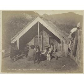 "Feeding Time" Pipiriki, Wanganui River