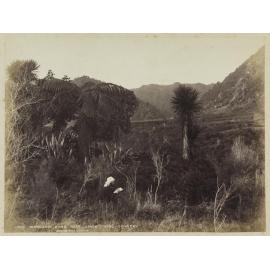 Wanganui River near Utapu, King Country
