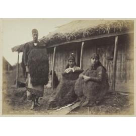 Te Hahipu [Te Ahipu], Poipoi [Poi Poi] and Ngātaua at Pitoritori